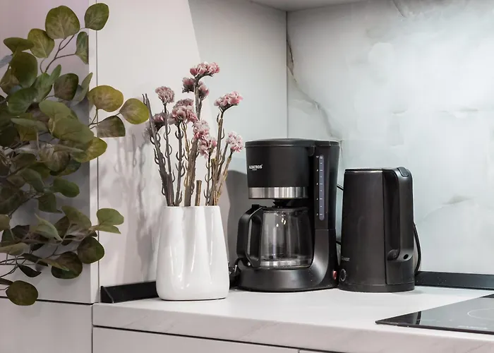 דירה Plaza 294 בוקרשט