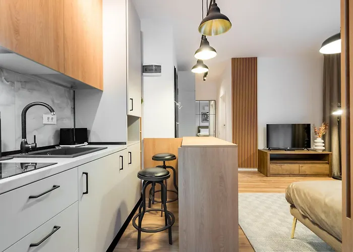 Apartment Plaza 294 Bucharest